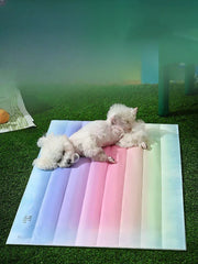 Rainbow Self-Cooling Pet Gel Mat – Scratch-Resistant Summer Cooling Pad for Dogs & Cats