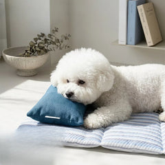 Glacier Blue Breathable Self-Cooling Pet Mat – Washable Summer Sleep Pad