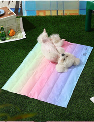 Rainbow Self-Cooling Pet Gel Mat – Scratch-Resistant Summer Cooling Pad for Dogs & Cats
